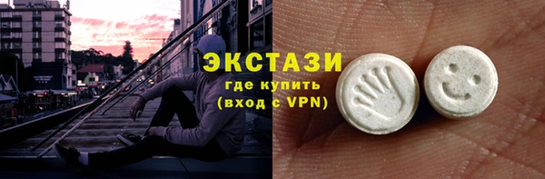 гашик Вяземский