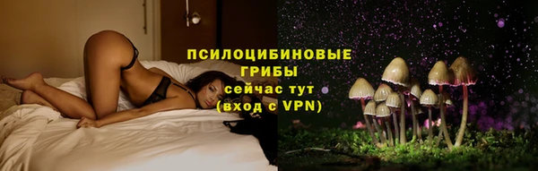 гашик Вяземский