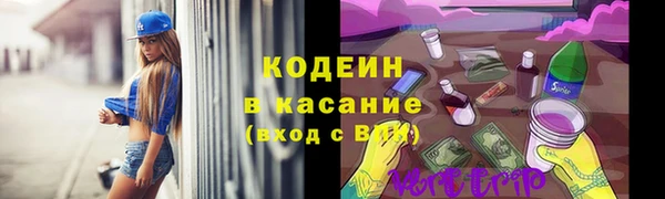 гашик Вяземский