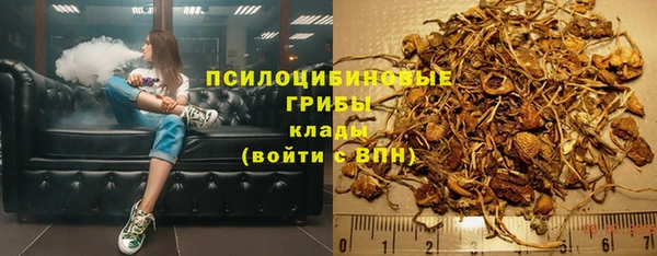 гашик Вяземский