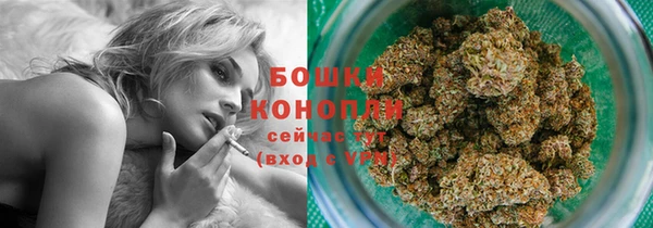 гашик Вяземский