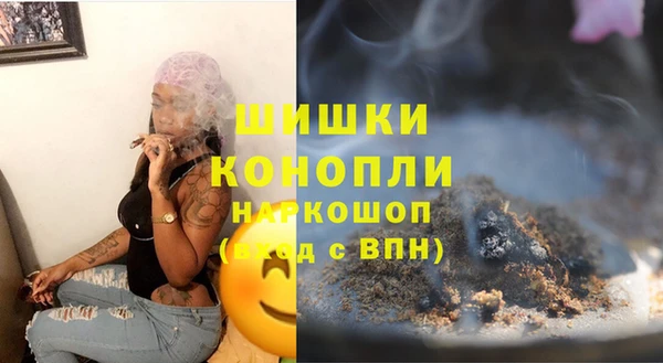 гашик Вяземский
